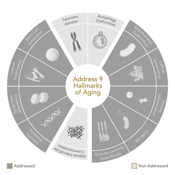 Niance Sérum Corporel Premium Glacier RE-SHAPE