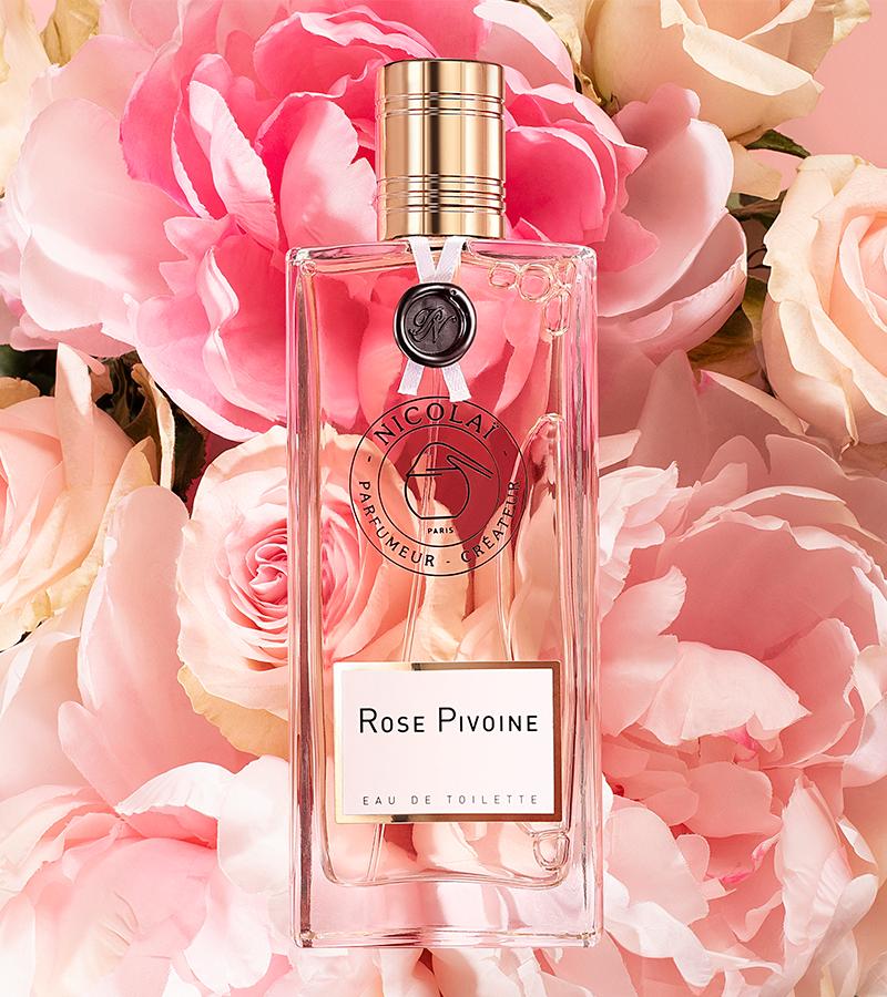 Nicolaï Rose Pivoine