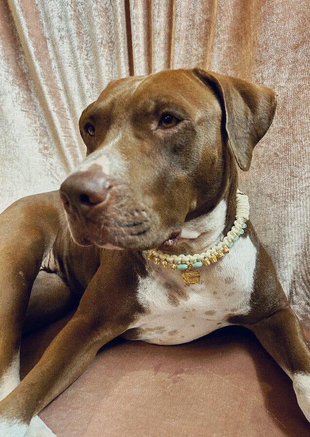 Nina Des Criquets Collier "GEORGES" Aventurine