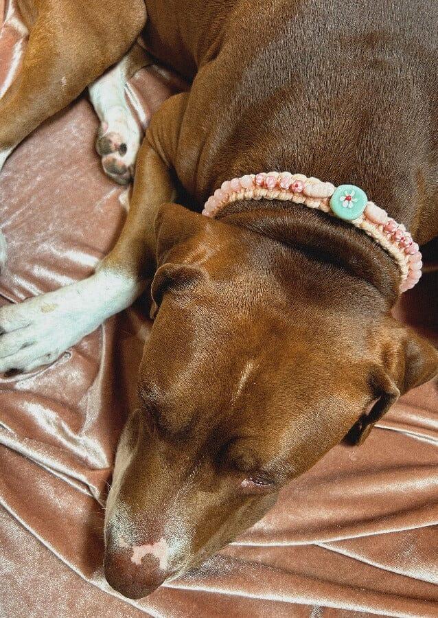 Nina Des Criquets Collier "GEORGES" Quartz Rose