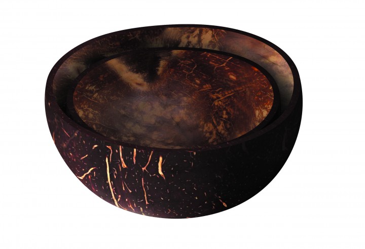 nuts innovations 2er Set Kokosnuss Schale nature