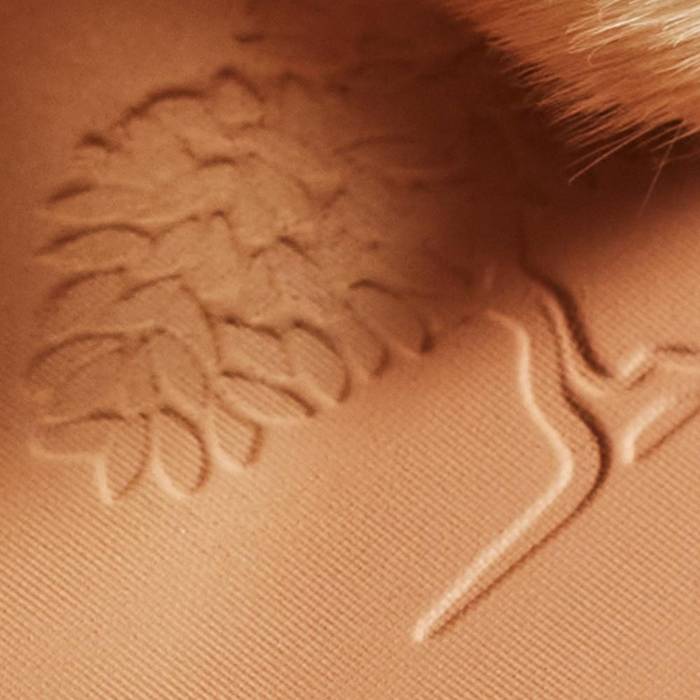 Nuxe Poudre éclat Prodigieux®