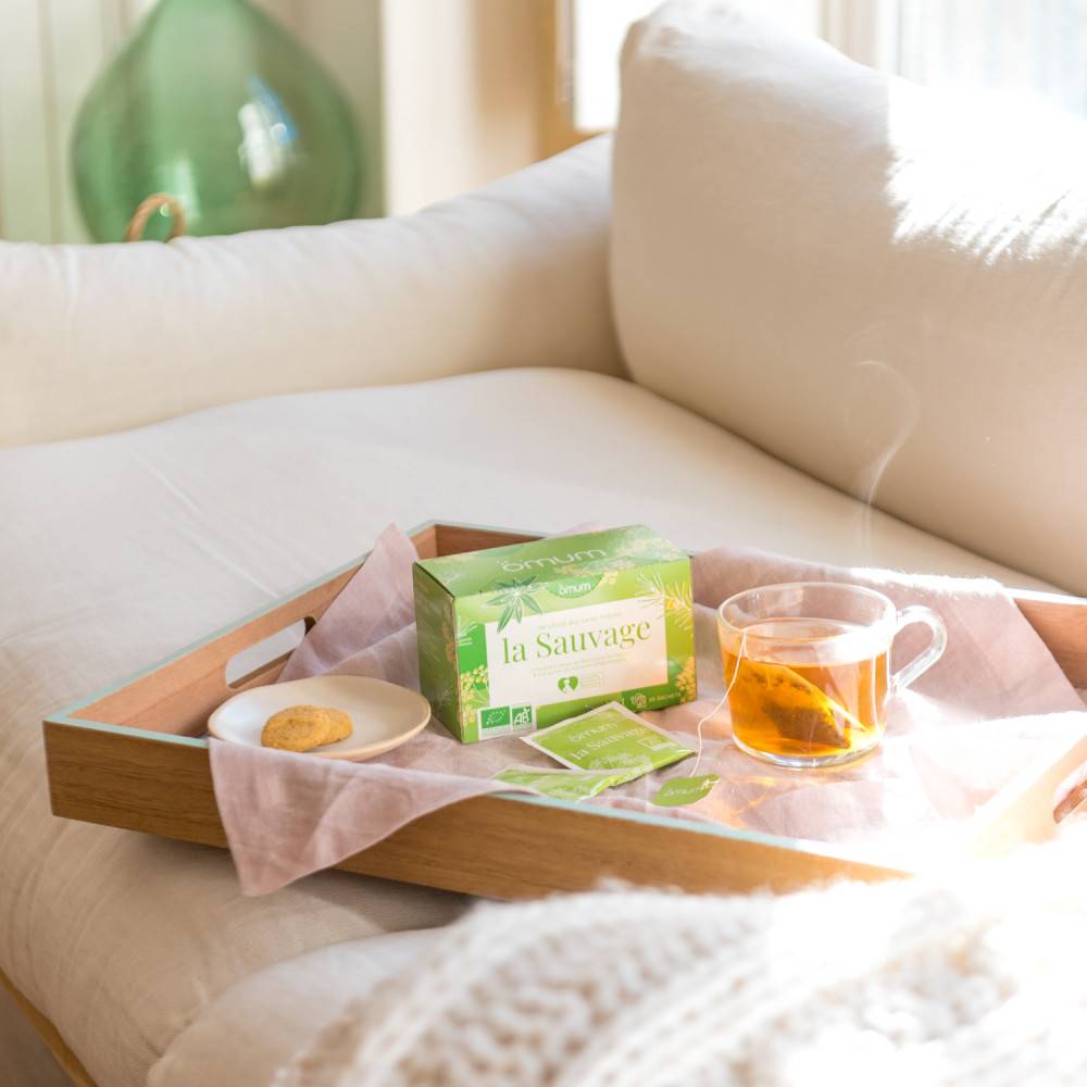 Omum INFUSION BIO VERVEINE ROOIBOS FENOUIL - 20 SACHETS