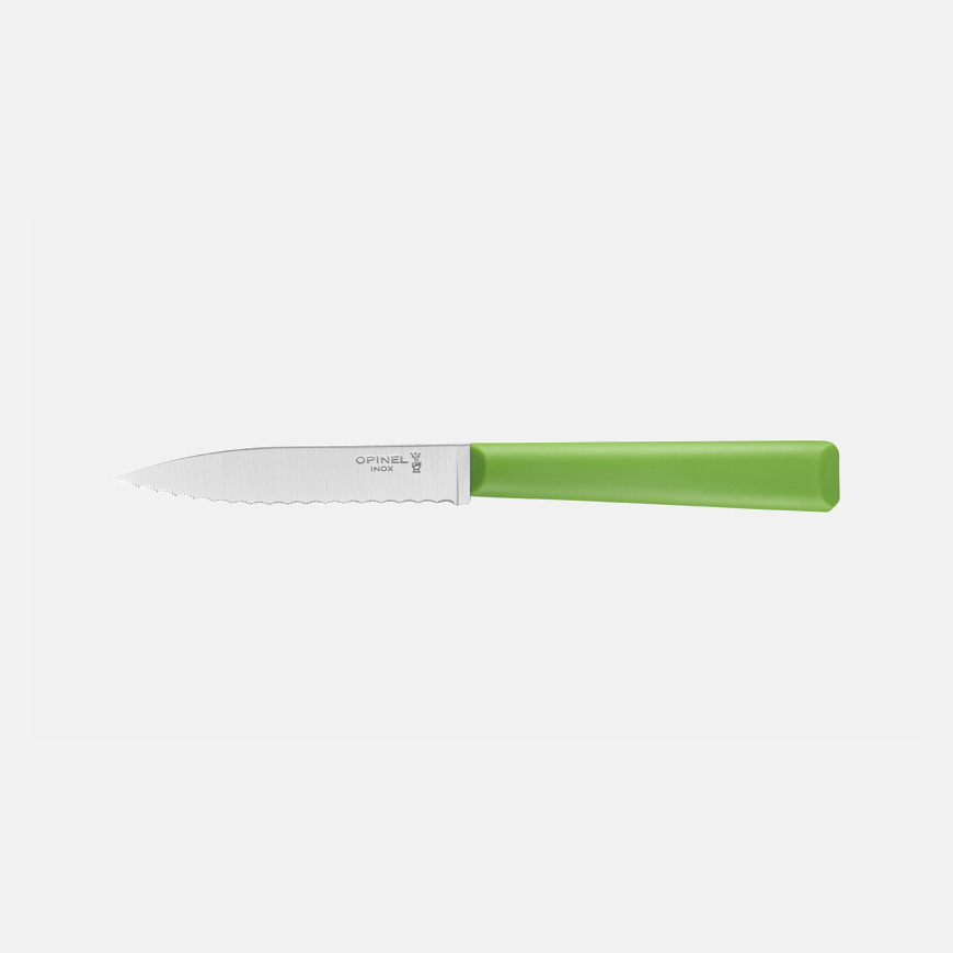 opinel Couteau Cranté N°313 Essentiels + Vert
