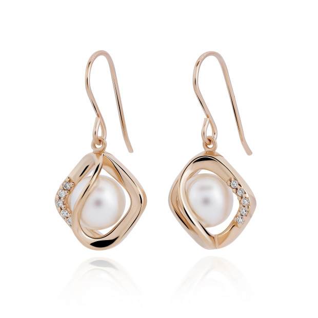 Orphelia Aina Silver Drop Earrings ZO-7471/RG