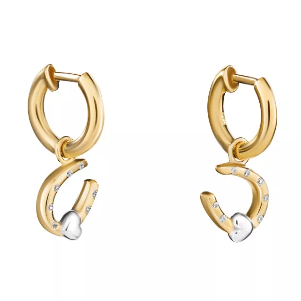 Orphelia Aurora Silver Drop Earrings ZO-7525/G