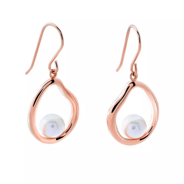 Orphelia Baptiste Silver Drop Earrings ZO-7507/RG