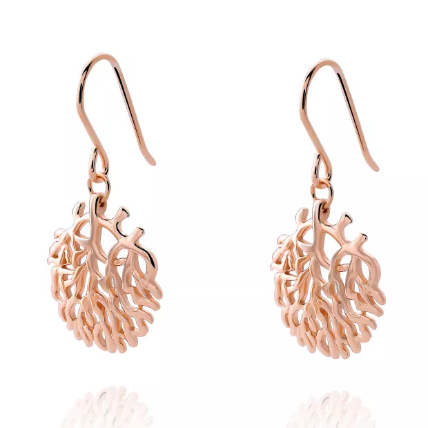 Orphelia Flavie Silver Drop Earrings ZO-7502/RG