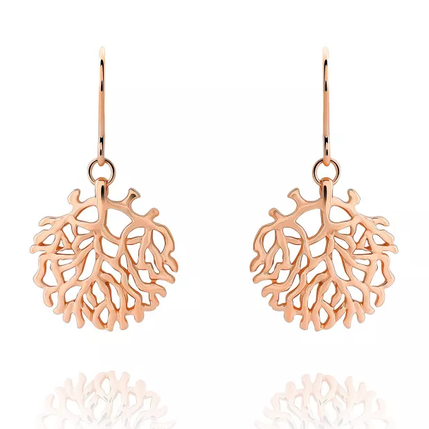 orphelia Flavie Silver Drop Earrings ZO-7502/RG