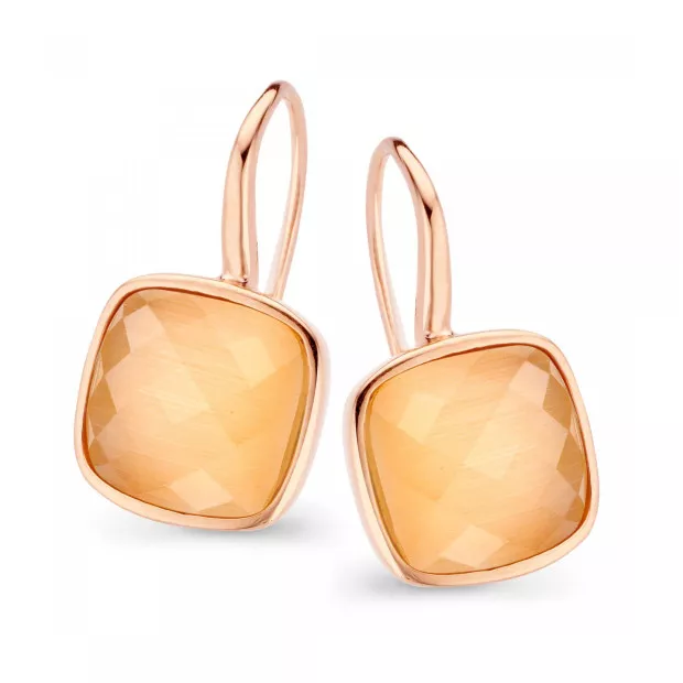 orphelia Isabella Silver Drop Earrings ZO-7198/OR