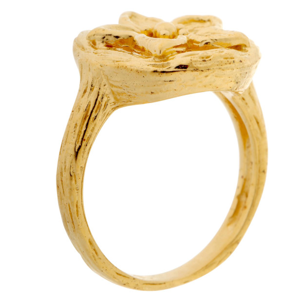 Orphelia Orphelia® Women's Sterling Silver Ring - Gold ZR-6029/1