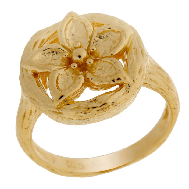 orphelia Orphelia® Women's Sterling Silver Ring - Gold ZR-6029/1