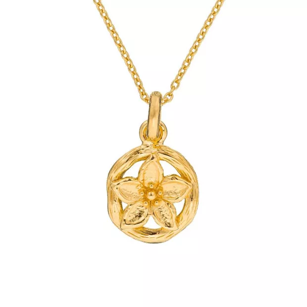 Orphelia Orphelia® Women's Sterling Silver Set: Chain-Pendant + Earrings - Gold SET-6029/1