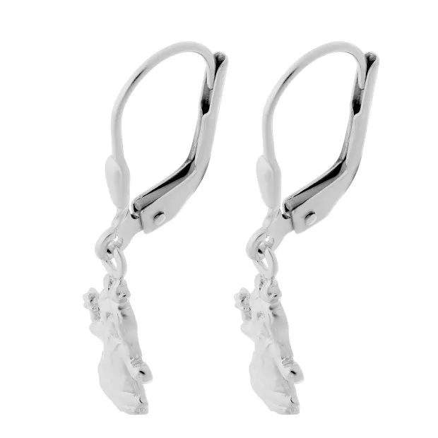 Orphelia Silver Drop Earrings ZO-6067