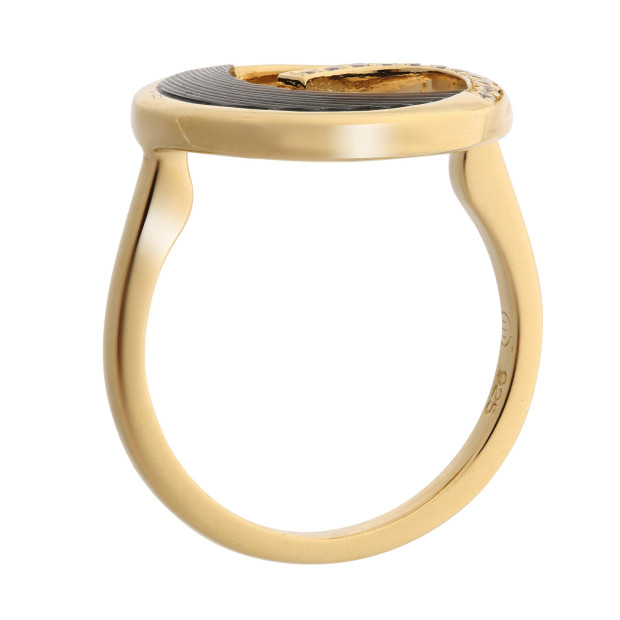 Orphelia Silver Ring ZR-7371