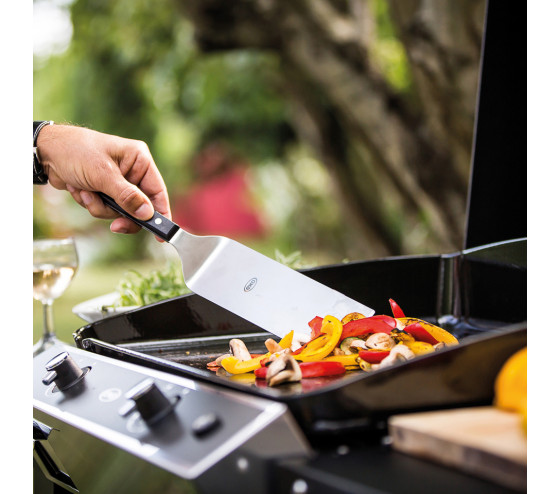 Ozalide Plancha Gaz Bergerac 60 ENO