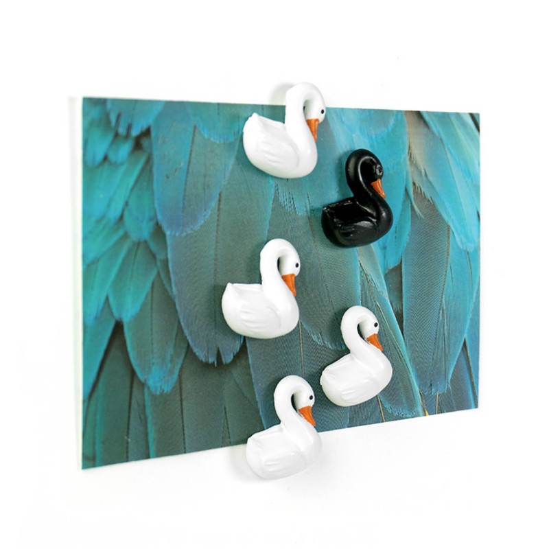 pa design Aimants Cygne - Swan