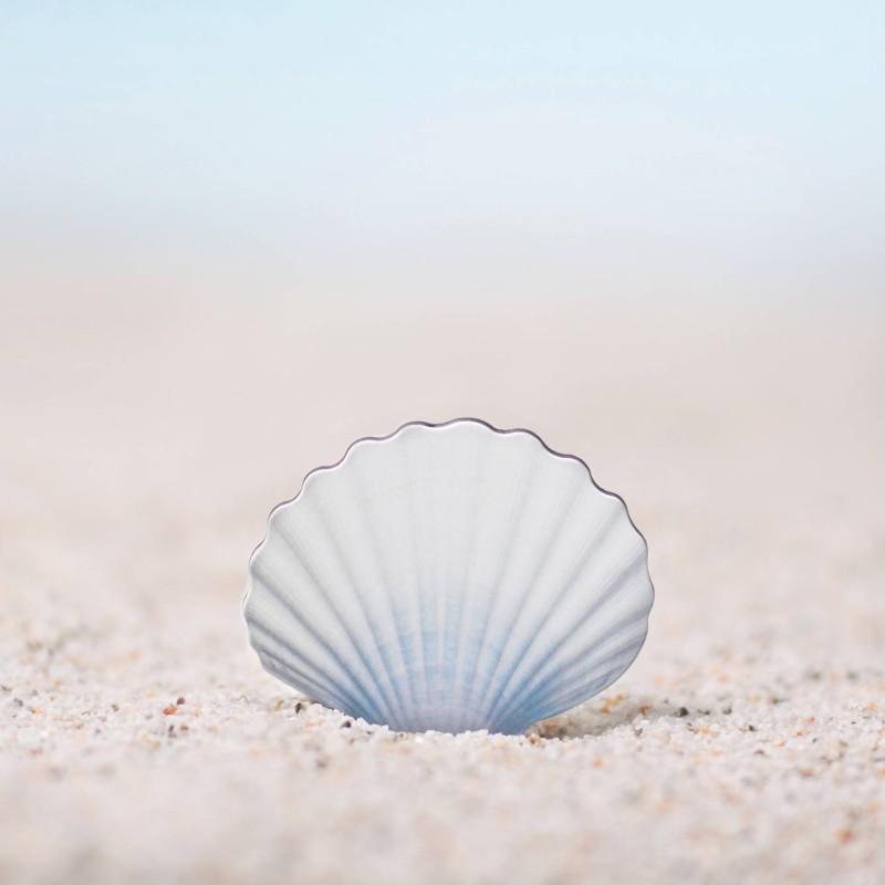 Pa Design Leaf Magnet Sea Aimants Coquillages