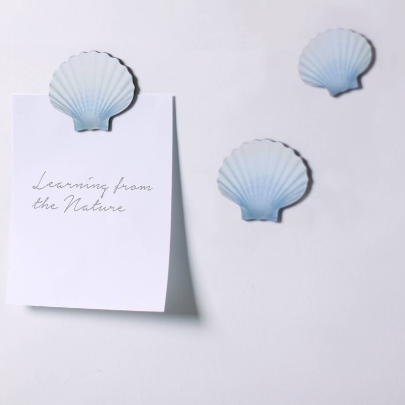 Pa Design Leaf Magnet Sea Aimants Coquillages