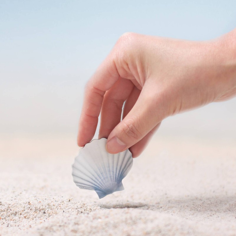 pa design Leaf Magnet Sea aimants coquillages