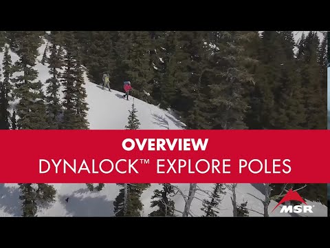 Packtowl MSR DynaLock™ Explore Backcountry Poles