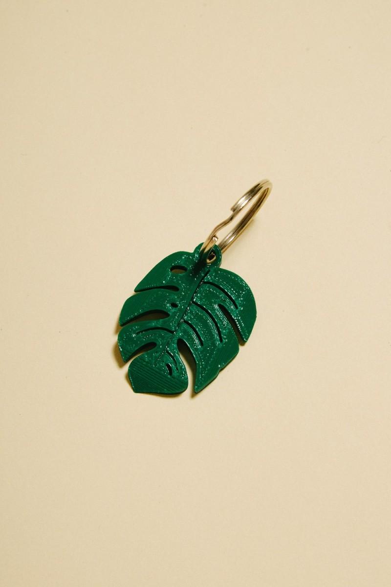 Pantaï Porte Clef "Monstera"