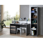 Paris Prix Caisson De Bureau 2 Tiroirs "London" 60cm Gris Anthracite