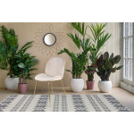 Paris Prix Lot De 2 Chaises Design "Charlize" 90cm Beige & Or