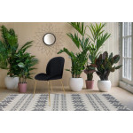 Paris Prix Lot De 2 Chaises Design "Charlize" 90cm Noir & Or