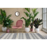 Paris Prix Lot De 2 Chaises Design "Charlize" 90cm Rose & Or
