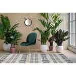 Paris Prix Lot De 2 Chaises Design "Charlize" 90cm Vert & Or