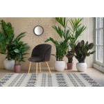 Paris Prix Lot De 2 Chaises En Velours "Celina" 84 Cm Noir