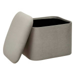 Paris Prix Lot De 2 Poufs Coffre Velours "Dani" 40cm Gris