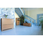 Paris Prix Meuble à Chaussures 2 Compartiments "NewEst" 50cm Chêne