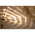 Paris Prix Parasol De Plage à Franges "Hawai" 200cm Marron