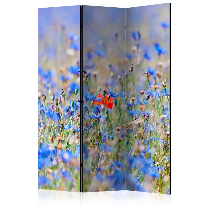 Paris Prix Paravent 3 Volets "A Sky Colored Meadow Cornflowers" 135x172cm