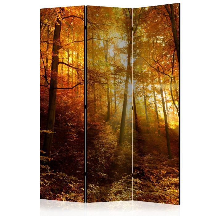Paris Prix Paravent 3 Volets "Autumn Illumination" 135x172cm