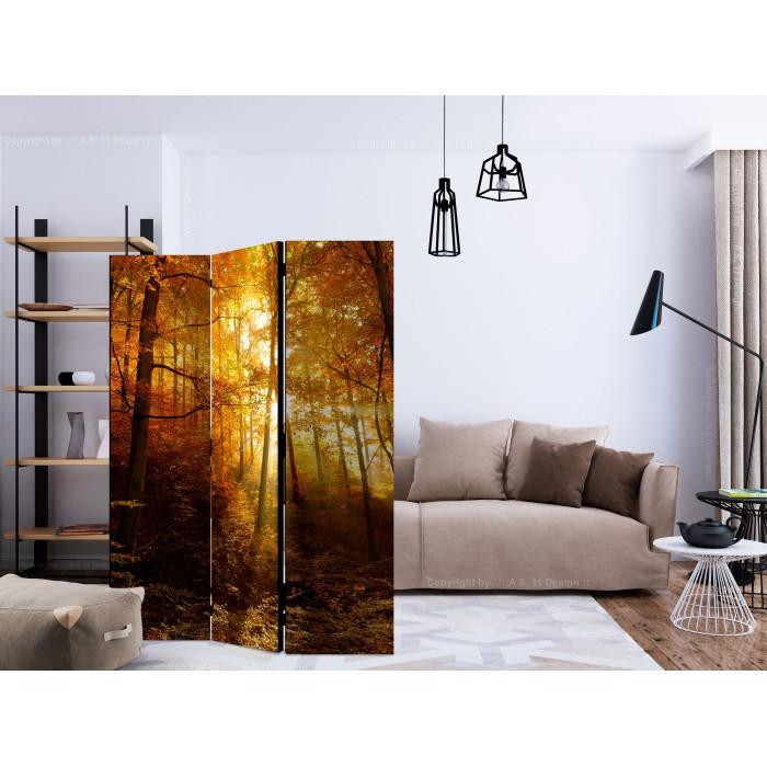 Paris Prix Paravent 3 Volets "Autumn Illumination" 135x172cm
