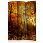 paris prix Paravent 3 Volets "Autumn Illumination" 135x172cm