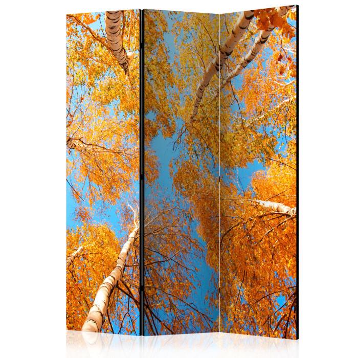 Paris Prix Paravent 3 Volets "Autumnal Treetops" 135x172cm