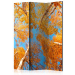 paris prix Paravent 3 Volets "Autumnal Treetops" 135x172cm