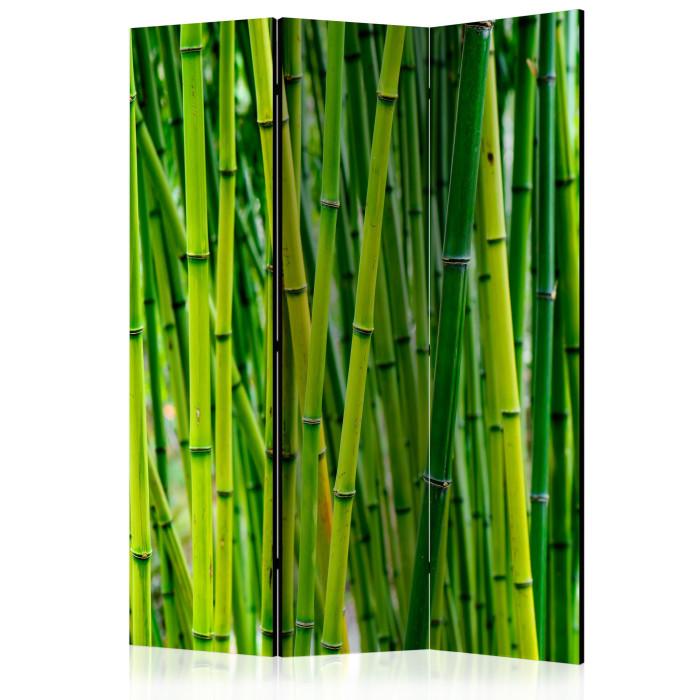 Paris Prix Paravent 3 Volets "Bamboo Forest" 135x172cm