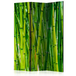 paris prix Paravent 3 Volets "Bamboo Forest" 135x172cm