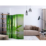 Paris Prix Paravent 3 Volets "Bamboo Grove" 135x172cm