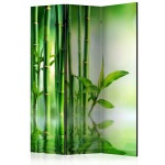paris prix Paravent 3 Volets "Bamboo Grove" 135x172cm