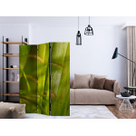 Paris Prix Paravent 3 Volets "Bamboo Nature Zen" 135x172cm