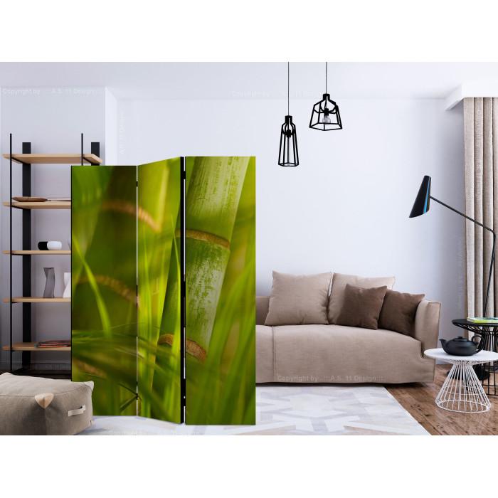 Paris Prix Paravent 3 Volets "Bamboo Nature Zen" 135x172cm