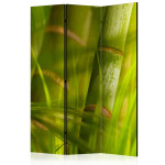 paris prix Paravent 3 Volets "Bamboo Nature Zen" 135x172cm