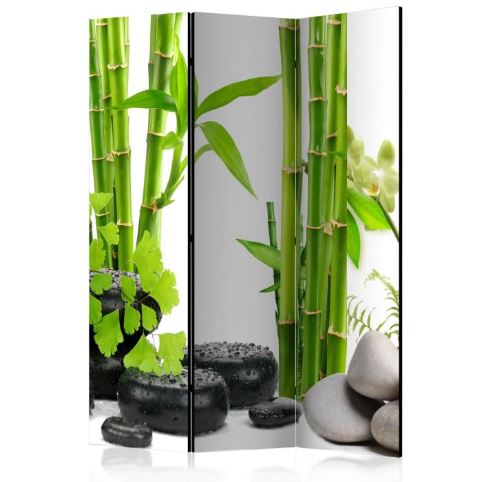 Paris Prix Paravent 3 Volets "Bamboos & Stones" 135x172cm