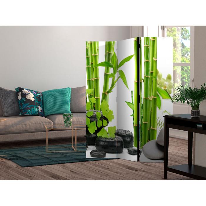 Paris Prix Paravent 3 Volets "Bamboos & Stones" 135x172cm